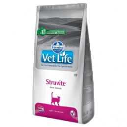 cat struvite diet