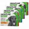 FRONTLINE COMBO 2-10 3 PIPETTE