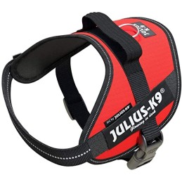 JULIUS-K9 MIS 2/L-XL71-96CM...