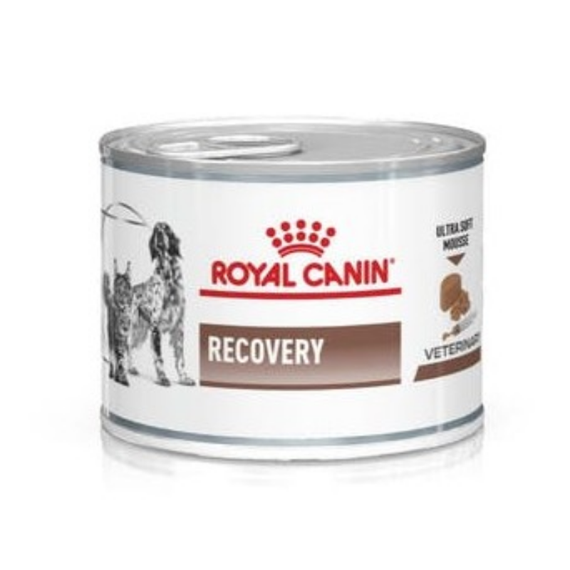 https://www.yazoo.shop/2911-large_default/royal-diet-recovery-cane-e-gatto-195gr.jpg