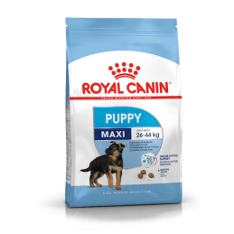 ROYAL DOG MAXI PUPPY 15KG