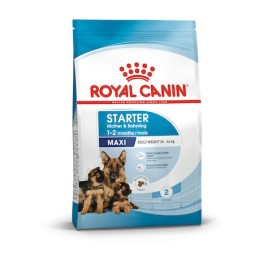 ROYAL DOG MAXI STARTER M&B 4KG