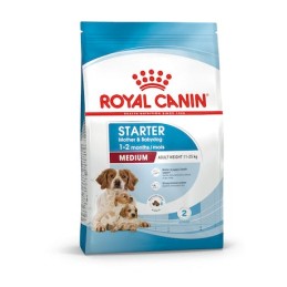 ROYAL DOG MEDIUM STARTER...